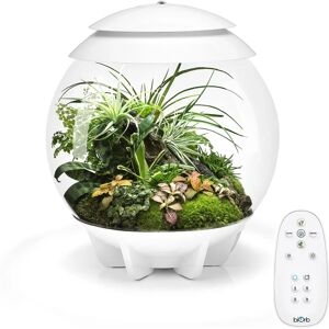 BiOrb Air 30 White 30L Acrylic Terrarium with LED Lighting Ultrasonic Mister - Terrarium BiOrb Air 30 White 30L Acrylic Terrarium with LED Lighting Ultrasonic Mister - Terrarium
