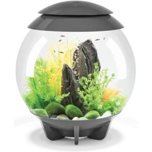 Oase HALO 30 MCR - Grey (72041) Oase HALO 30 MCR - Grey (72041)