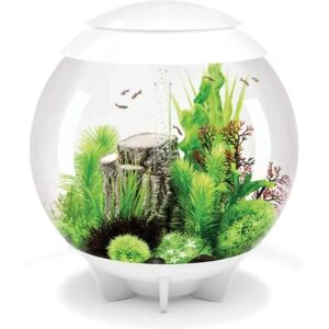 biOrb HALO 60 MCR - White biOrb HALO 60 MCR - White