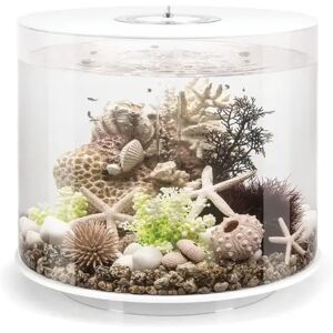 biOrb TUBE 35 MCR - 72073 biOrb TUBE 35 MCR - 72073