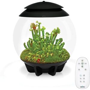 biOrb AIR 30 Black 30L Acrylic Terrarium with LED Lighting Ultrasonic Mister - Terrarium biOrb AIR 30 Black 30L Acrylic Terrarium with LED Lighting Ultrasonic Mister - Terrarium