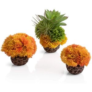 Oase biOrb Coral Ball Set - Aquarium Decor Oase biOrb Coral Ball Set - Aquarium Decor