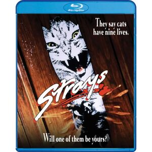 Shout Factory Strays - Blu-ray Region A: USA Import Shout Factory Strays - Blu-ray Region A: USA Import