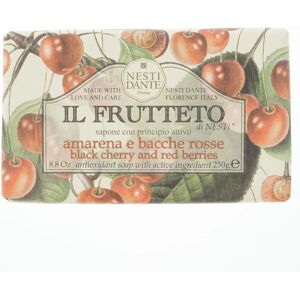 Nesti Dante Il frutteto antioxidant soap - zwarte kers & bessen - Gezichtsreinigers Nesti Dante Il frutteto antioxidant soap - zwarte kers & bessen - Gezichtsreinigers