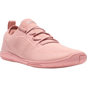 Xero Nexus Knit Pink - Barfußschuhe Xero Nexus Knit Pink - Barfußschuhe