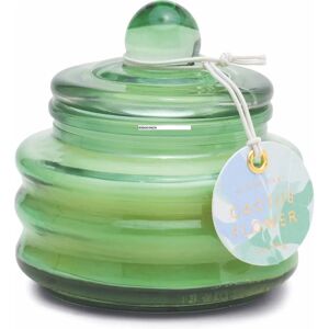 Bougie parfumée à la fleur de cactus Paddywax Beam - 85g - Publicité Bougie parfumée à la fleur de cactus Paddywax Beam - 85g - Publicité