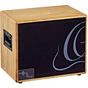 Akustický kabinet kytary Ortega S-two - 150W Akustický kabinet kytary Ortega S-two - 150W