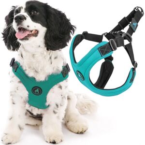 Gooby Turquoise Sport Dog Harness - Model 04612-TQS-L Gooby Turquoise Sport Dog Harness - Model 04612-TQS-L