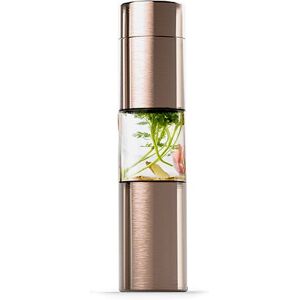 Asobu Flavor U See Gold - 430ml Stainless Steel Water Bottle Asobu Flavor U See Gold - 430ml Stainless Steel Water Bottle