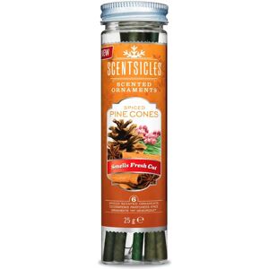 Scentsicles Spiced Pine Cones - Christmas Scented Sticks Scentsicles Spiced Pine Cones - Christmas Scented Sticks
