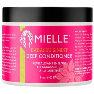 Mielle Babassu & Mint Après-Shampoing Profond (227 g) - Publicité Mielle Babassu & Mint Après-Shampoing Profond (227 g) - Publicité