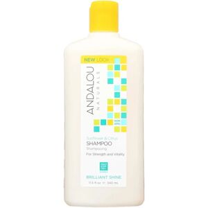 Andalou Naturals Sunflower Citrus Strength Shine Shampoo - Hair Care Andalou Naturals Sunflower Citrus Strength Shine Shampoo - Hair Care