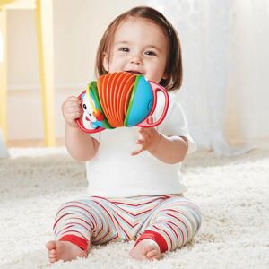 Skip Hop Vibrant Hedgehog Accordion - Musical Toy Skip Hop Vibrant Hedgehog Accordion - Musical Toy