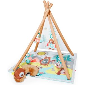 Skip Hop Baby Gym/Spielmatte - Mehrfarbig - Entwicklungsaktivitäten Skip Hop Baby Gym/Spielmatte - Mehrfarbig - Entwicklungsaktivitäten