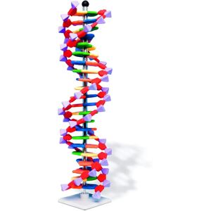 Molymod DNA 060-22 - MiniDNA Fortgeschrittenes 22 Schicht Molekularmodell-Set - DNA Modell-Set Molymod DNA 060-22 - MiniDNA Fortgeschrittenes 22 Schicht Molekularmodell-Set - DNA Modell-Set