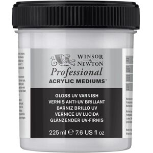 Winsor & Newton Professional Acrylic Varnish - Acrylic Varnish Winsor & Newton Professional Acrylic Varnish - Acrylic Varnish