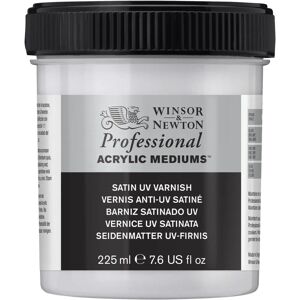 Winsor & Newton Professional Acrylic UV Varnish - Satin Finish - Acrylic Varnish Winsor & Newton Professional Acrylic UV Varnish - Satin Finish - Acrylic Varnish