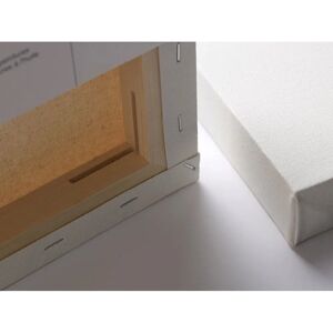 Winsor & Newton 6206029 Professional Painting Canvas - Cotton Blend - 60x120cm - Oil & Acrylic Winsor & Newton 6206029 Professional Painting Canvas - Cotton Blend - 60x120cm - Oil & Acrylic