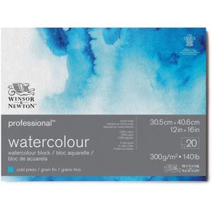 Winsor & Newton Professional Watercolour Blocks - 300gsm - 20 Sheets Winsor & Newton Professional Watercolour Blocks - 300gsm - 20 Sheets