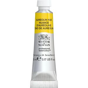 Winsor & Newton Professional Watercolour 417 Aureolin Hue - Watercolour Winsor & Newton Professional Watercolour 417 Aureolin Hue - Watercolour
