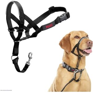 Company of Animals Halti Headcollar Size 3 - Dog Training Company of Animals Halti Headcollar Size 3 - Dog Training