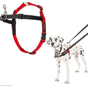 Halti Size M Black/Red Dog Harness - Training, Adjustable, Nylon Halti Size M Black/Red Dog Harness - Training, Adjustable, Nylon