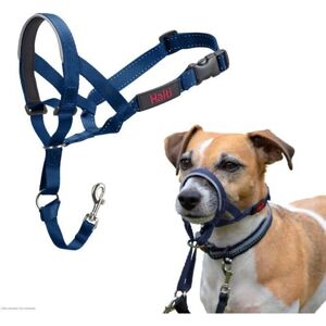 Halti Headcollar - Small Dog, Cobalt Blue - Dog Training Anti-Pull Collar Halti Headcollar - Small Dog, Cobalt Blue - Dog Training Anti-Pull Collar