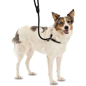 Clix Liten Brun 3-i-1 Hundkoppel - Hundkoppel Clix Liten Brun 3-i-1 Hundkoppel - Hundkoppel