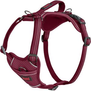 Company of Animals Burgundy L Dog Harness - Reflective, Padded, Adjustable Company of Animals Burgundy L Dog Harness - Reflective, Padded, Adjustable