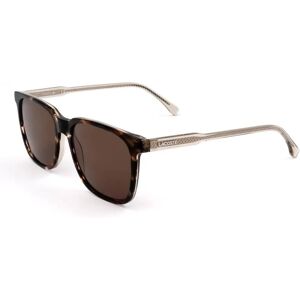 Lacoste L910S 214 Havana Brown Square Sunglasses - Sunglasses Lacoste L910S 214 Havana Brown Square Sunglasses - Sunglasses