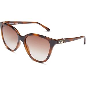 Gafas de sol Ferragamo SF1056SCarey - Gafas de sol Gafas de sol Ferragamo SF1056SCarey - Gafas de sol