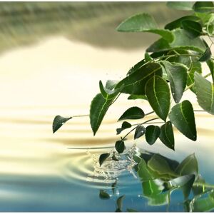 Estée Lauder Tender Light Eau de Parfum - 100ml Estée Lauder Tender Light Eau de Parfum - 100ml