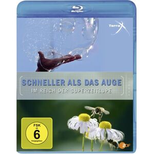 VARIOUS - Terra X Schneller als das Auge/Im Reich der Superzeitlupe - DVD/Blu-ray VARIOUS - Terra X Schneller als das Auge/Im Reich der Superzeitlupe - DVD/Blu-ray