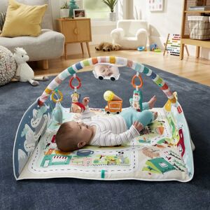 Fisher-Price GJD41 Baby Gym - Multicolour Baby Play Mat Fisher-Price GJD41 Baby Gym - Multicolour Baby Play Mat