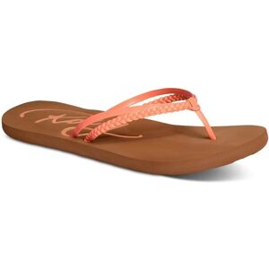 Grandi Pietre Ecologiche - Giocattoli da Immersione per Piscina Grandi Pietre Ecologiche - Giocattoli da Immersione per Piscina