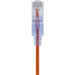 Monoprice - 16336 - Naranja - 4,3 m - Ethernet Cable Monoprice - 16336 - Naranja - 4,3 m - Ethernet Cable