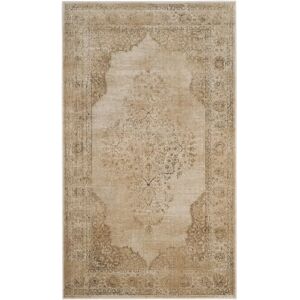 Tapis Vintage Safavieh - 170x100cm - Salon, Salle à manger, Chambre - Publicité Tapis Vintage Safavieh - 170x100cm - Salon, Salle à manger, Chambre - Publicité