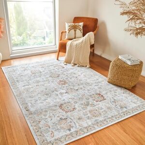 SURYA Cincinnati Vintage Machine Washable Rug - High Traffic Indoor Use SURYA Cincinnati Vintage Machine Washable Rug - High Traffic Indoor Use