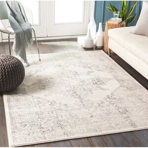 Surya Ceren Vintage Rug - 120x170cm - White Beige Gray Surya Ceren Vintage Rug - 120x170cm - White Beige Gray