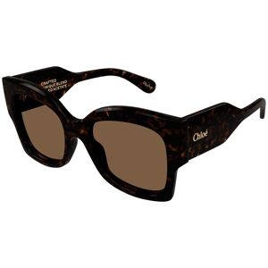 Chloé CH0252S Havanna Acetato Farfalla Occhiali da Sole Chloé CH0252S Havanna Acetato Farfalla Occhiali da Sole