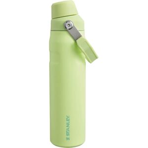 Stanley The IceFlow Fast Flow 0.6L Stainless Steel Water Bottle Citron Stanley The IceFlow Fast Flow 0.6L Stainless Steel Water Bottle Citron