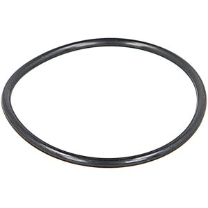 HANS PRIES 116 632 O-Ring Luchtinlaatsluiting HANS PRIES 116 632 O-Ring Luchtinlaatsluiting