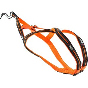 Harnais pour chien Orange - I-Dog X-Back One 2.0 - Publicité Harnais pour chien Orange - I-Dog X-Back One 2.0 - Publicité