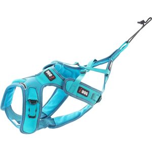 i-DOG Phoenix ALM - Harnais pour Chien Bleu L Support pour Entraînement & Compétition - Publicité i-DOG Phoenix ALM - Harnais pour Chien Bleu L Support pour Entraînement & Compétition - Publicité