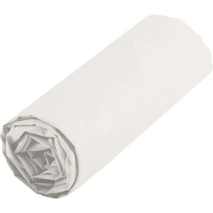 Ecru Cotton Bedding Sheet - 90x190 cm - Bedding Sheet Ecru Cotton Bedding Sheet - 90x190 cm - Bedding Sheet