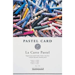 Sennelier Pastel Card - 360gsm - 12 Sheets - Pastel Card for Dry Techniques Sennelier Pastel Card - 360gsm - 12 Sheets - Pastel Card for Dry Techniques