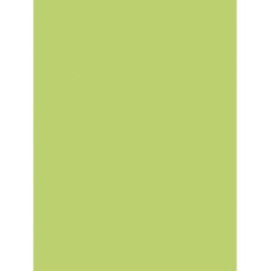Clairefontaine 384519C művészeti papír - Zöld - 90g/m2 - 60x80cm - Professzionális Clairefontaine 384519C művészeti papír - Zöld - 90g/m2 - 60x80cm - Professzionális