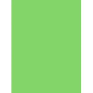 Papier d'art Clairefontaine 384522C - Vert - 75g - Paquet de 25 feuilles - Publicité Papier d'art Clairefontaine 384522C - Vert - 75g - Paquet de 25 feuilles - Publicité