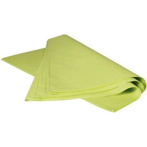 Clairefontaine Model 393619C Green Silk Paper - Art Paper Clairefontaine Model 393619C Green Silk Paper - Art Paper