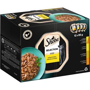 Comida para Gatos Sheba - Variado en Salsa y Paté - Pack 85g & 37,5g Comida para Gatos Sheba - Variado en Salsa y Paté - Pack 85g & 37,5g